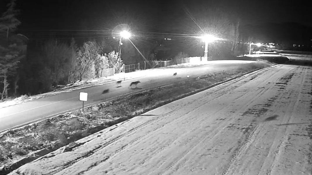 Konya’da bugün neler oldu? İşte 4 Ocak Pazar günü olup bitenler… 2